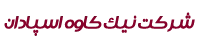 شرکت نیک کاوه اسپادان